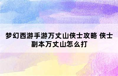 梦幻西游手游万丈山侠士攻略 侠士副本万丈山怎么打